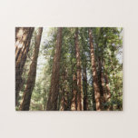 Up to Redwoods II at Muir Woods National Monument Jigsaw Puzzle