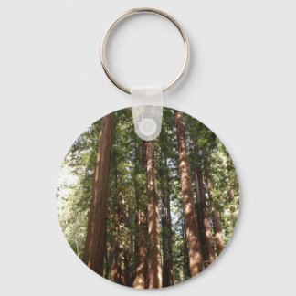 Up to Redwoods II at Muir Woods National Monument Keychain