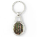 Up to Redwoods II at Muir Woods National Monument Keychain
