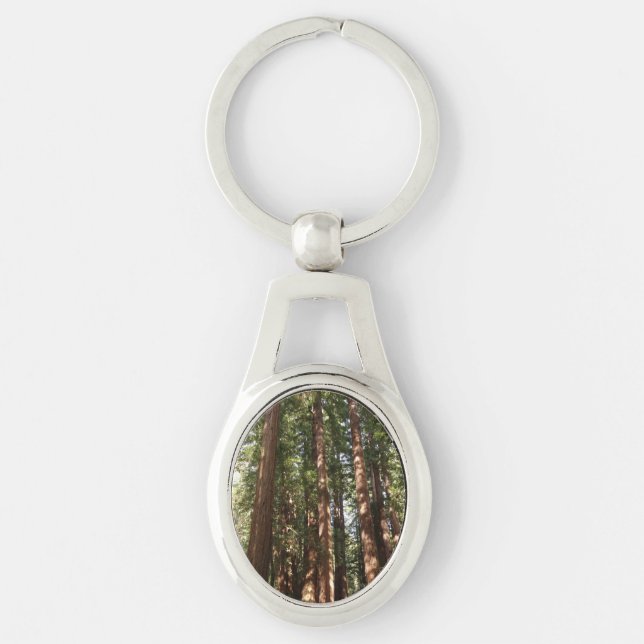 Up to Redwoods II at Muir Woods National Monument Keychain (Front)