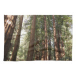 Up to Redwoods II at Muir Woods National Monument Kitchen Towel