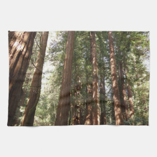 Up to Redwoods II at Muir Woods National Monument Kitchen Towel