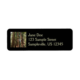 Up to Redwoods II at Muir Woods National Monument Label