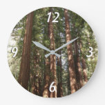 Up to Redwoods II at Muir Woods National Monument Large Clock