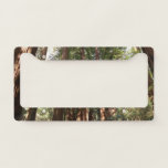 Up to Redwoods II at Muir Woods National Monument License Plate Frame
