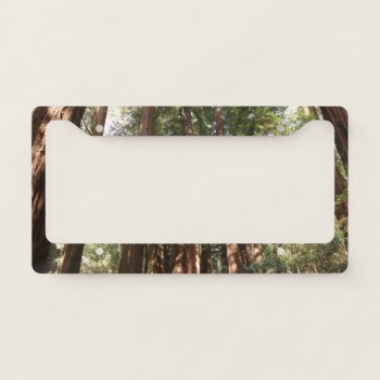 Up To Redwoods Ii At Muir Woods National Monument License Plate Frame by mlewallpapers at Zazzle