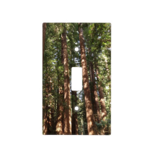 Up to Redwoods II at Muir Woods National Monument Light Switch Cover