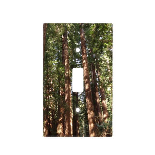 Up to Redwoods II at Muir Woods National Monument Light Switch Cover (Front)