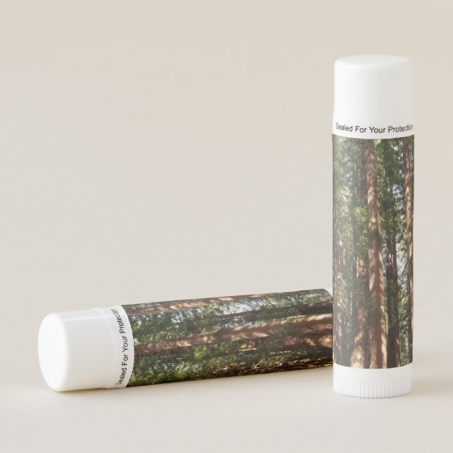 Up to Redwoods II at Muir Woods National Monument Lip Balm (Front)