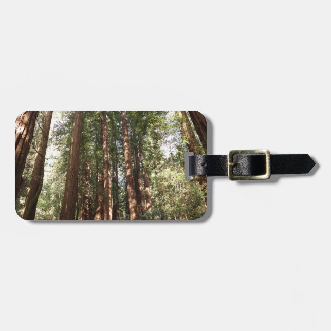 Up to Redwoods II at Muir Woods National Monument Luggage Tag (Front Horizontal)