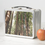Up to Redwoods II at Muir Woods National Monument Metal Lunch Box