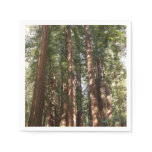Up to Redwoods II at Muir Woods National Monument Napkins