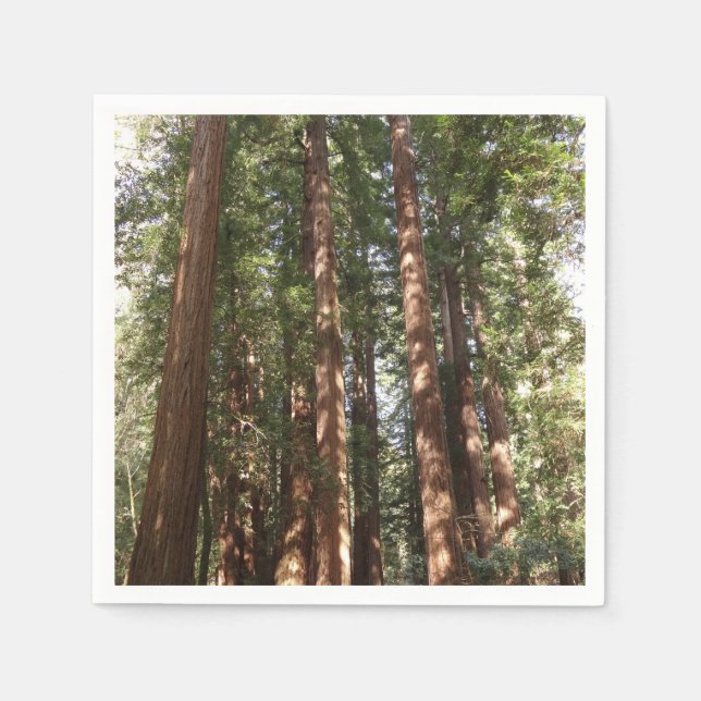 Up to Redwoods II at Muir Woods National Monument Napkins (Front)
