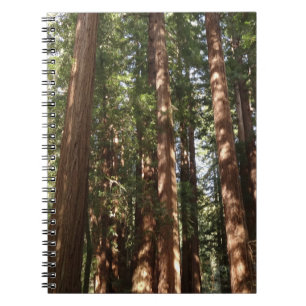 Up to Redwoods II at Muir Woods National Monument Notebook