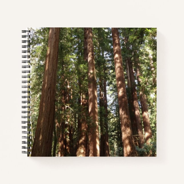 Up to Redwoods II at Muir Woods National Monument Notebook (Front)