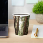Up to Redwoods II at Muir Woods National Monument Paper Cups