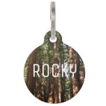 Up to Redwoods II at Muir Woods National Monument Pet ID Tag
