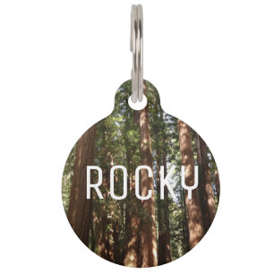 Up to Redwoods II at Muir Woods National Monument Pet ID Tag