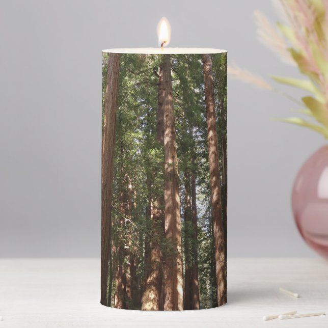 Up to Redwoods II at Muir Woods National Monument Pillar Candle (In Situ)