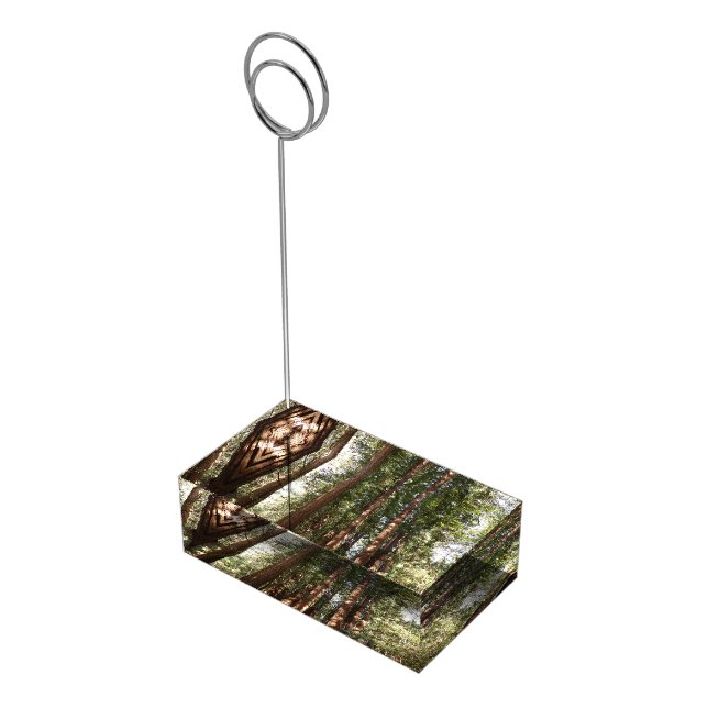 Up to Redwoods II at Muir Woods National Monument Place Card Holder (Corner)