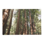 Up to Redwoods II at Muir Woods National Monument Placemat