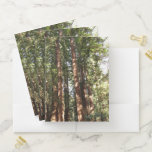 Up to Redwoods II at Muir Woods National Monument Pocket Folder