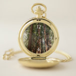 Up to Redwoods II at Muir Woods National Monument Pocket Watch