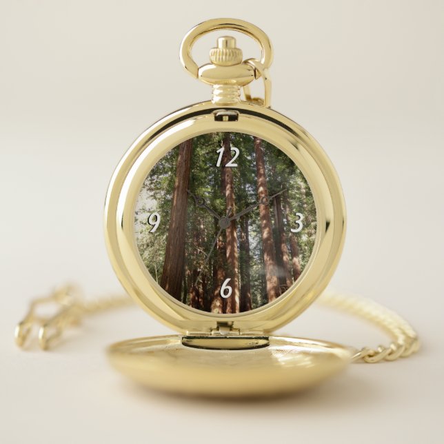 Up to Redwoods II at Muir Woods National Monument Pocket Watch (Inside)