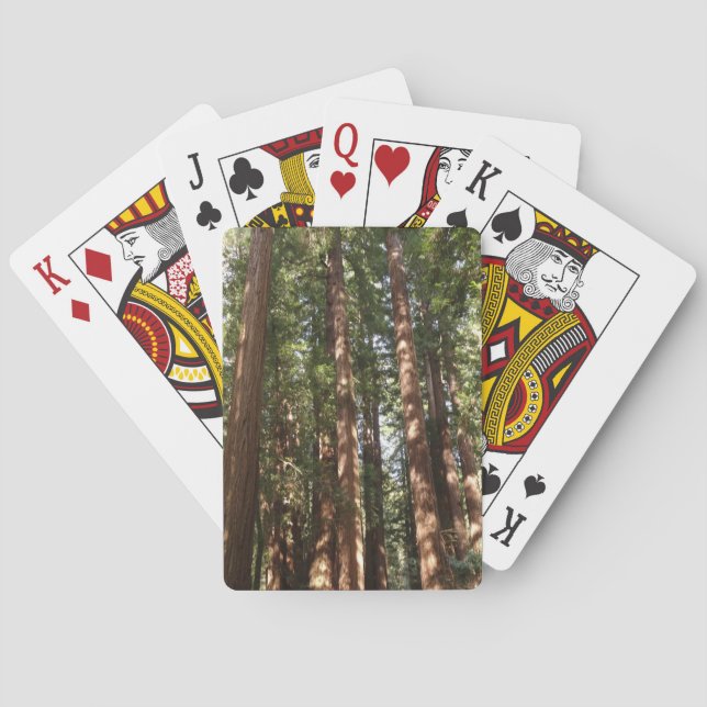 Up to Redwoods II at Muir Woods National Monument Poker Cards (Back)