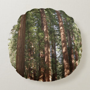Up to Redwoods II at Muir Woods National Monument Round Pillow