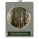 Up to Redwoods II at Muir Woods National Monument Silver Plated Banner Ornament