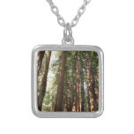 Up to Redwoods II at Muir Woods National Monument Silver Plated Necklace