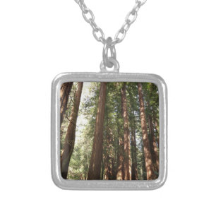 Up to Redwoods II at Muir Woods National Monument Silver Plated Necklace