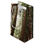 Up to Redwoods II at Muir Woods National Monument Small Gift Bag