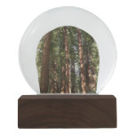 Up to Redwoods II at Muir Woods National Monument Snow Globe