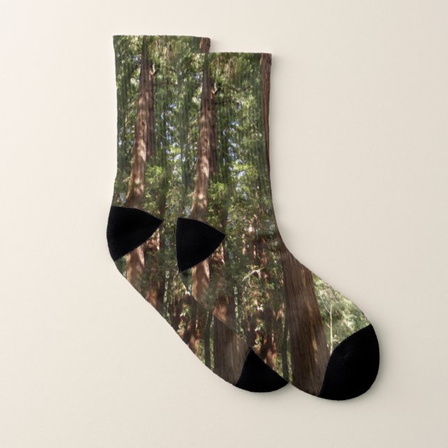 Up to Redwoods II at Muir Woods National Monument Socks (Pair)