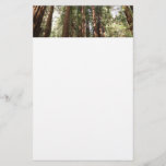 Up to Redwoods II at Muir Woods National Monument Stationery