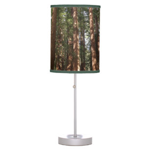 Up to Redwoods II at Muir Woods National Monument Table Lamp
