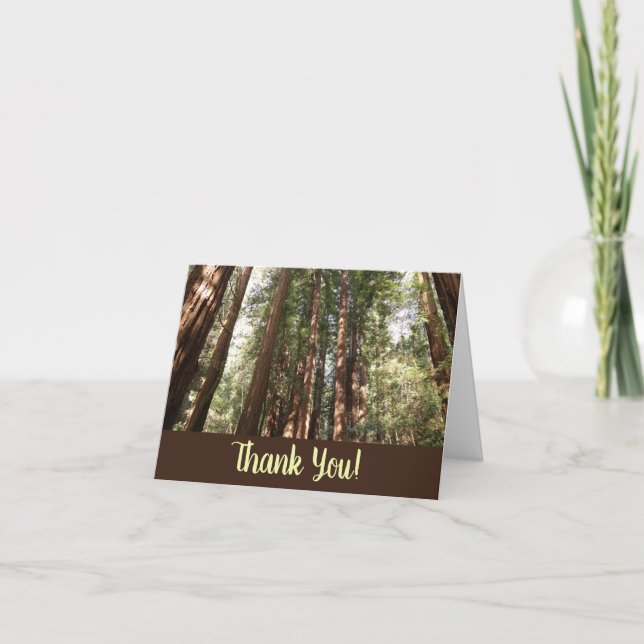 Up to Redwoods II at Muir Woods National Monument Thank You Card (Front)