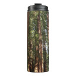 Up to Redwoods II at Muir Woods National Monument Thermal Tumbler