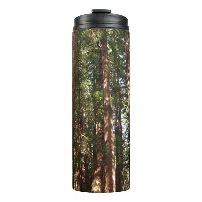 Up to Redwoods II at Muir Woods National Monument Thermal Tumbler (Front)