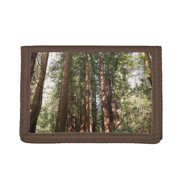 Up to Redwoods II at Muir Woods National Monument Trifold Wallet (Front)