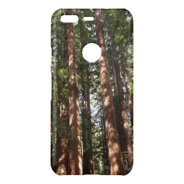 Up to Redwoods II at Muir Woods National Monument Uncommon Google Pixel Case (Back)