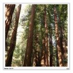 Up to Redwoods II at Muir Woods National Monument Wall Decal