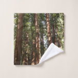 Up to Redwoods II at Muir Woods National Monument Wash Cloth