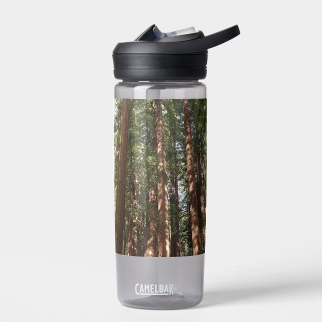 Up to Redwoods II at Muir Woods National Monument Water Bottle (Left)