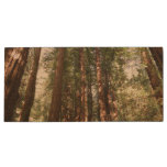 Up to Redwoods II at Muir Woods National Monument Wood Flash Drive