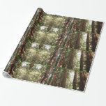 Up to Redwoods II at Muir Woods National Monument Wrapping Paper