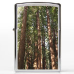 Up to Redwoods II at Muir Woods National Monument Zippo Lighter
