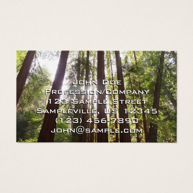 Up to Redwoods in the Morning (Front)